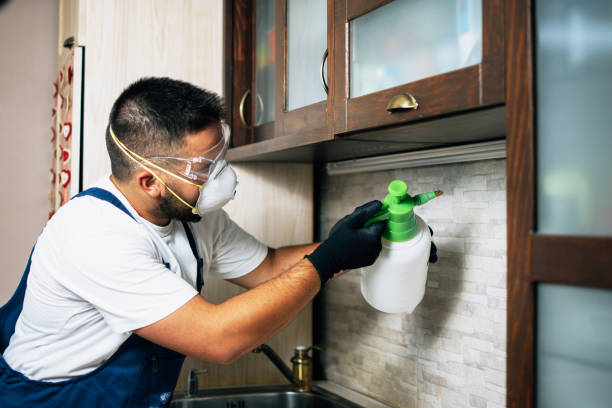 Best Wasp Removal Services  in Wabasso Beach, FL