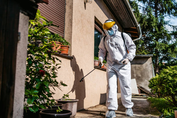 Best Local Pest Control Services  in Wabasso Beach, FL