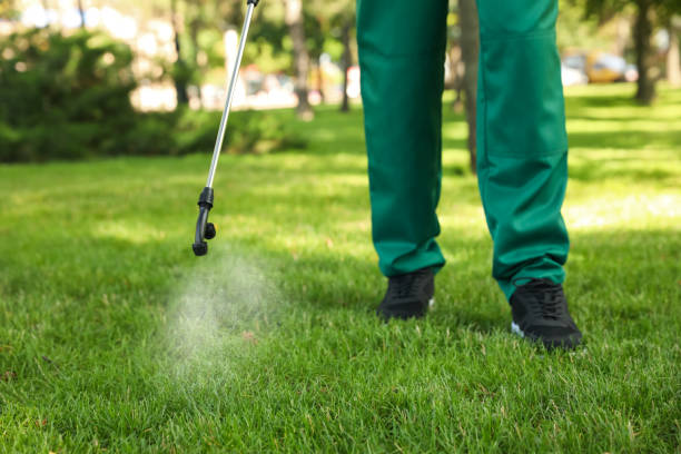 Best Flea Control Services  in Wabasso Beach, FL