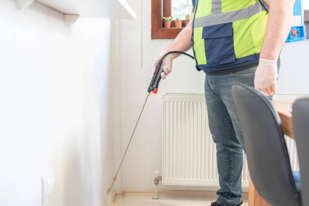 Best Bed Bug Extermination  in Wabasso Beach, FL