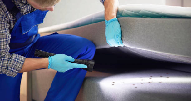 Best Commercial Pest Control Services  in Wabasso Beach, FL
